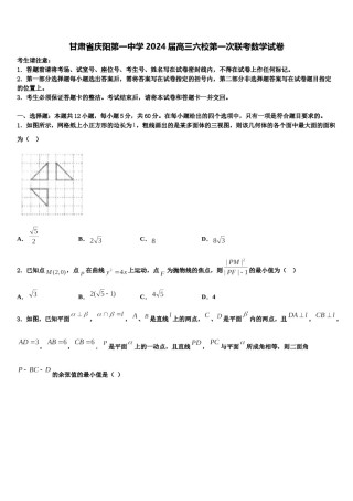 甘肃省庆阳第一中学2024届高三六校第一次联考数学试卷含解析.doc