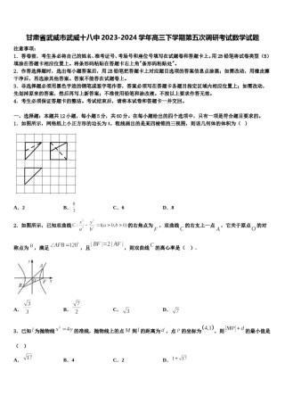 甘肃省武威市武威十八中2023-2024学年高三下学期第五次调研考试数学试题含解析.doc