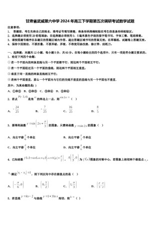 甘肃省武威第六中学2024年高三下学期第五次调研考试数学试题含解析.doc