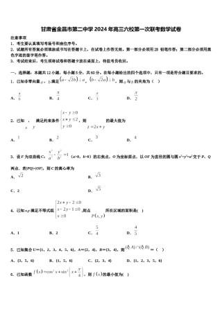 甘肃省金昌市第二中学2024年高三六校第一次联考数学试卷含解析.doc
