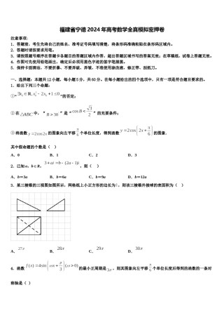 福建省宁德2024年高考数学全真模拟密押卷含解析.doc