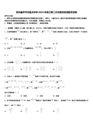 贵州省毕节市重点中学2024年高三第二次诊断性检测数学试卷含解析.doc