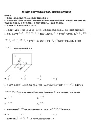 贵州省贵州铜仁伟才学校2024届高考数学四模试卷含解析.doc
