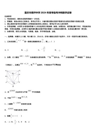 重庆市南坪中学2024年高考临考冲刺数学试卷含解析.doc