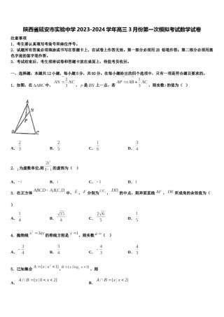 陕西省延安市实验中学2023-2024学年高三3月份第一次模拟考试数学试卷含解析.doc