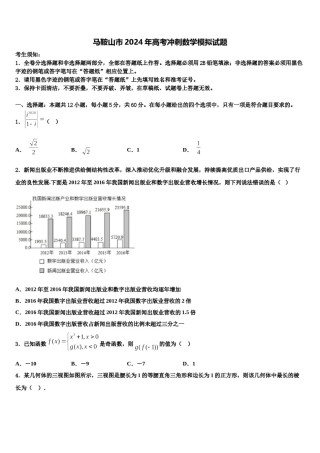 马鞍山市2024年高考冲刺数学模拟试题含解析.doc