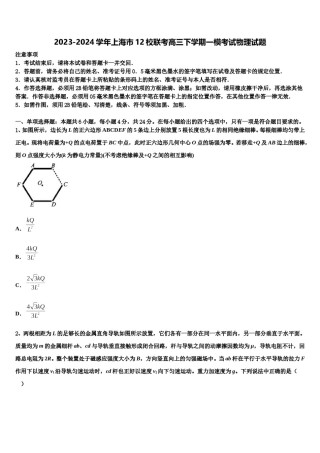 2023-2024学年上海市12校联考高三下学期一模考试物理试题含解析.doc