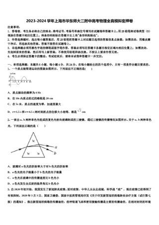 2023-2024学年上海市华东师大二附中高考物理全真模拟密押卷含解析.doc