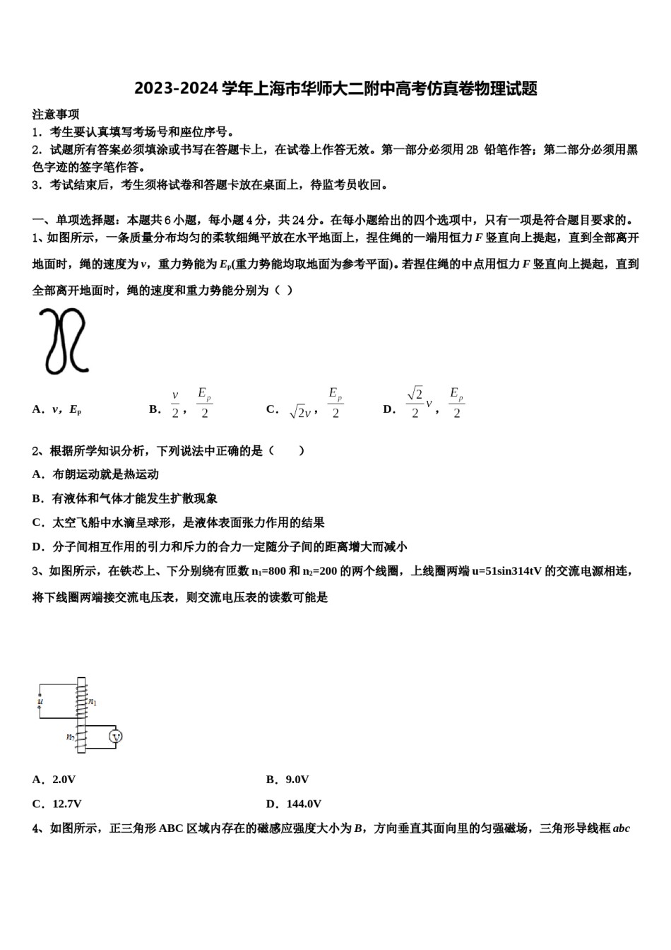 2023-2024学年上海市华师大二附中高考仿真卷物理试题含解析.doc_第1页