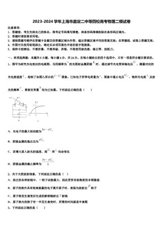 2023-2024学年上海市嘉定二中等四校高考物理二模试卷含解析.doc