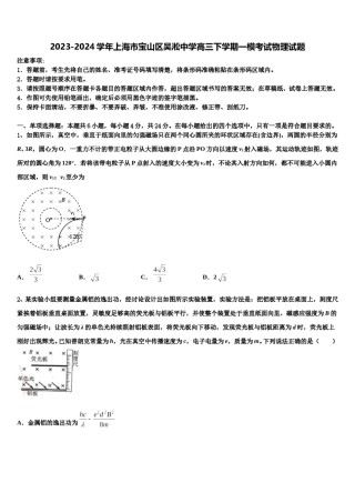 2023-2024学年上海市宝山区吴淞中学高三下学期一模考试物理试题含解析.doc