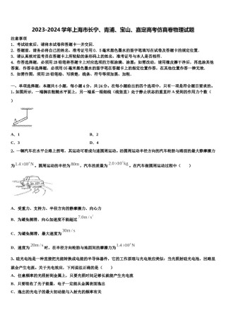 2023-2024学年上海市长宁、青浦、宝山、嘉定高考仿真卷物理试题含解析.doc