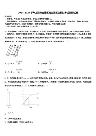 2023-2024学年上海市青浦区高三第五次模拟考试物理试卷含解析.doc