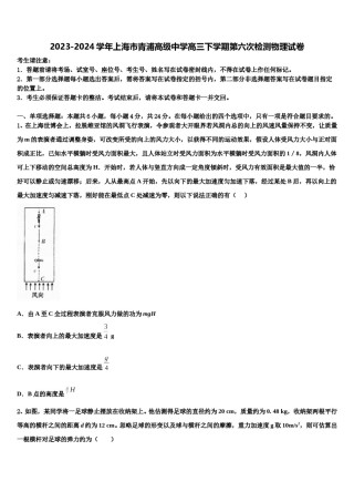 2023-2024学年上海市青浦高级中学高三下学期第六次检测物理试卷含解析.doc