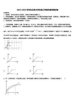 2023-2024学年东北育才学校高三考前热身物理试卷含解析.doc