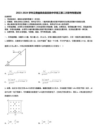 2023-2024学年云南省彝良县民族中学高三第二次联考物理试卷含解析.doc
