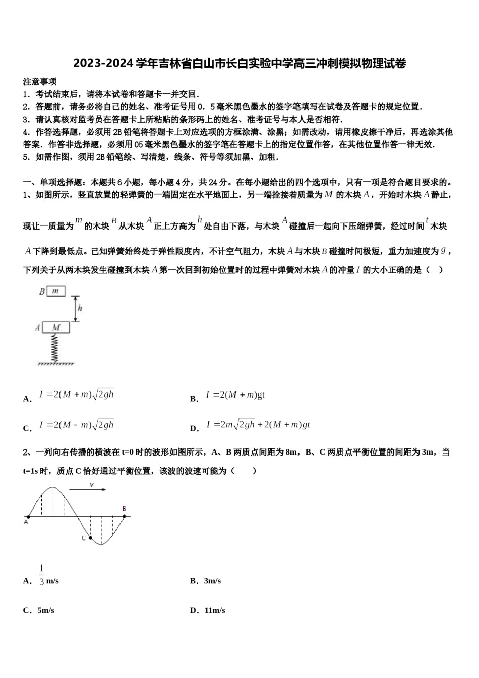 2023-2024学年吉林省白山市长白实验中学高三冲刺模拟物理试卷含解析.doc_第1页