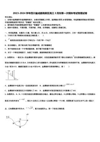 2023-2024学年四川省成都高新区高三3月份第一次模拟考试物理试卷含解析.doc