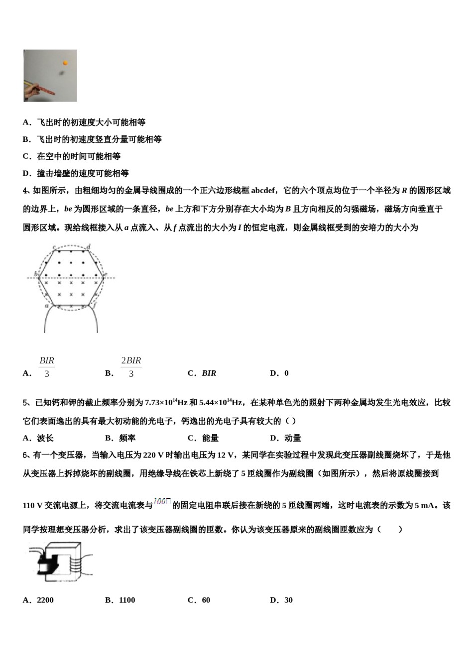 2023-2024学年天津市滨海新区高三下学期一模考试物理试题含解析.doc_第2页