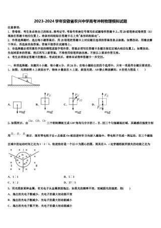 2023-2024学年安徽省农兴中学高考冲刺物理模拟试题含解析.doc