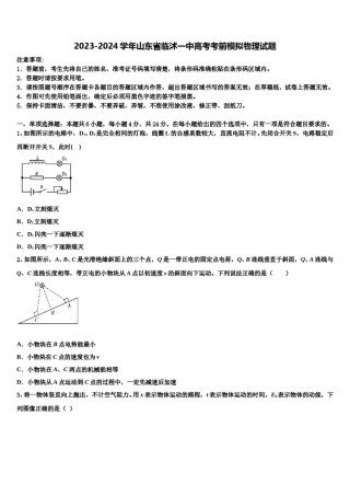 2023-2024学年山东省临沭一中高考考前模拟物理试题含解析.doc