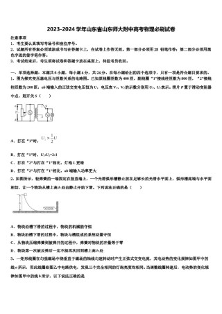 2023-2024学年山东省山东师大附中高考物理必刷试卷含解析.doc