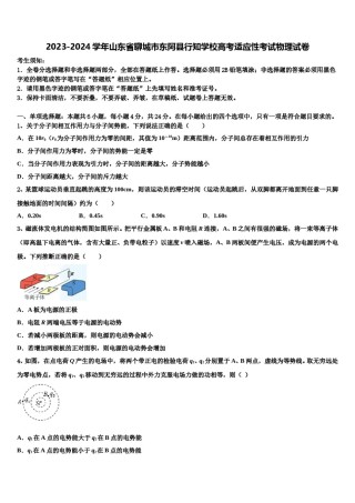 2023-2024学年山东省聊城市东阿县行知学校高考适应性考试物理试卷含解析.doc