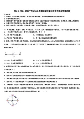 2023-2024学年广东省汕头市潮阳实验学校高考仿真卷物理试题含解析.doc