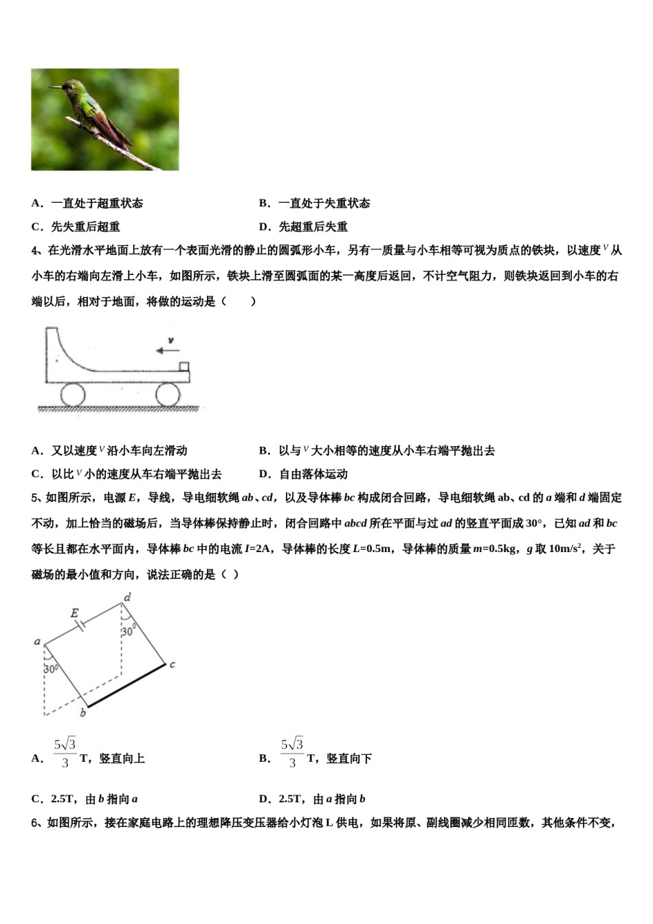 2023-2024学年广东省罗定市罗定中学高考仿真模拟物理试卷含解析.doc_第2页