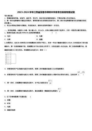 2023-2024学年江西省宜春市樟树中学高考仿真卷物理试题含解析.doc