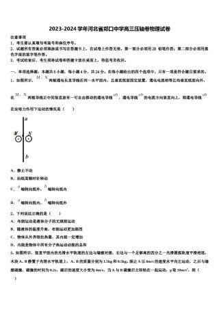 2023-2024学年河北省郑口中学高三压轴卷物理试卷含解析.doc