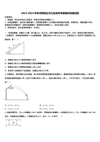 2023-2024学年河南商丘市九校高考考前模拟物理试题含解析.doc