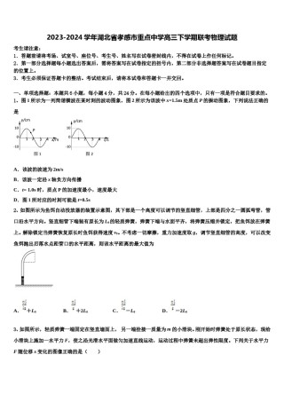 2023-2024学年湖北省孝感市重点中学高三下学期联考物理试题含解析.doc