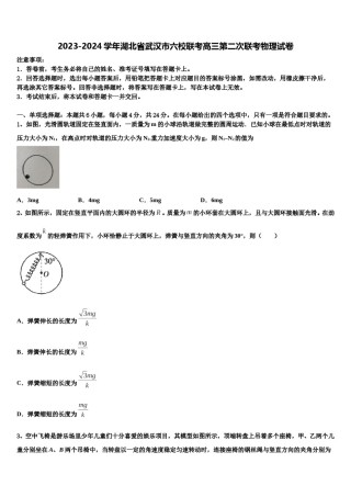 2023-2024学年湖北省武汉市六校联考高三第二次联考物理试卷含解析.doc