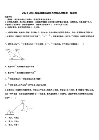 2023-2024学年湖北部分重点中学高考物理一模试卷含解析.doc