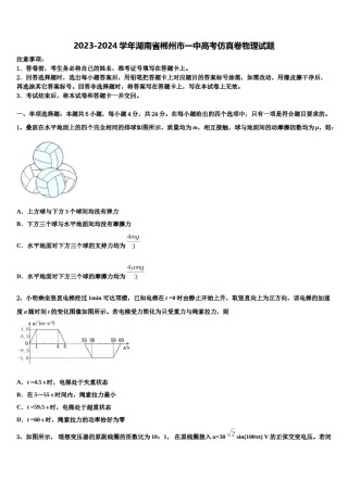 2023-2024学年湖南省郴州市一中高考仿真卷物理试题含解析.doc