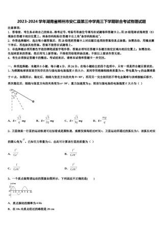 2023-2024学年湖南省郴州市安仁县第三中学高三下学期联合考试物理试题含解析.doc