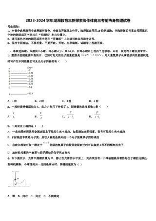 2023-2024学年湖湘教育三新探索协作体高三考前热身物理试卷含解析.doc