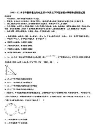 2023-2024学年甘肃省庆阳市孟坝中学高三下学期第五次调研考试物理试题含解析.doc