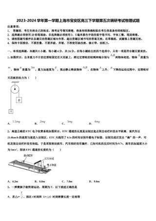 2023-2024学年第一学期上海市宝安区高三下学期第五次调研考试物理试题含解析.doc