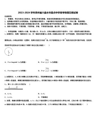 2023-2024学年贵州省六盘水市重点中学高考物理五模试卷含解析.doc