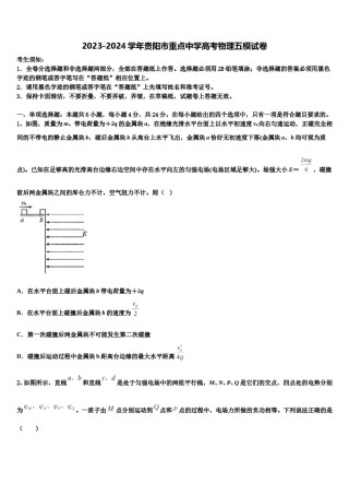 2023-2024学年贵阳市重点中学高考物理五模试卷含解析.doc