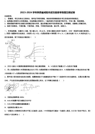 2023-2024学年陕西省咸阳市武功县高考物理五模试卷含解析.doc
