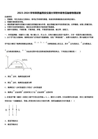 2023-2024学年陕西省西安交通大学附中高考压轴卷物理试卷含解析.doc