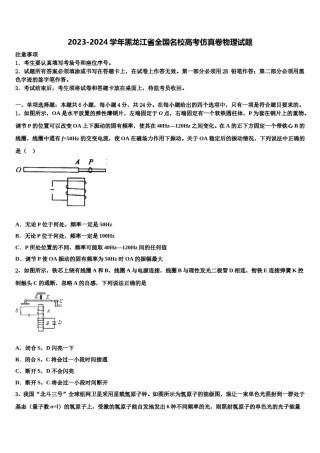 2023-2024学年黑龙江省全国名校高考仿真卷物理试题含解析.doc