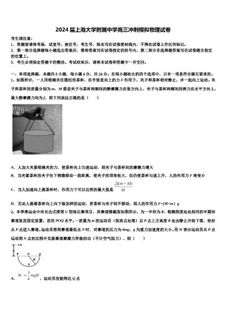 2024届上海大学附属中学高三冲刺模拟物理试卷含解析.doc