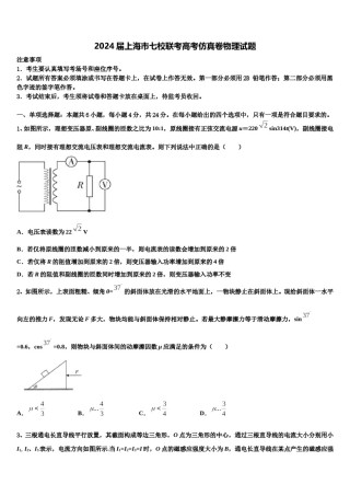 2024届上海市七校联考高考仿真卷物理试题含解析.doc