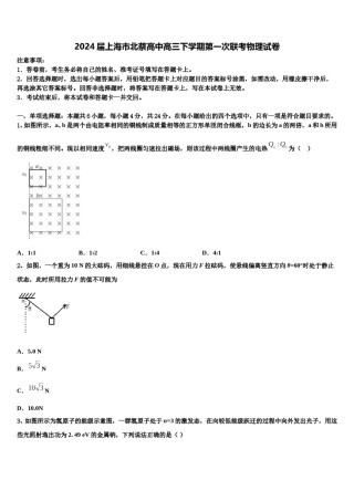 2024届上海市北蔡高中高三下学期第一次联考物理试卷含解析.doc