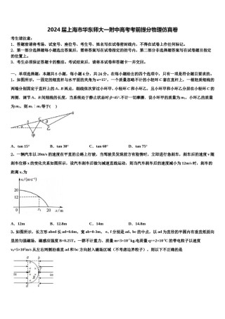 2024届上海市华东师大一附中高考考前提分物理仿真卷含解析.doc