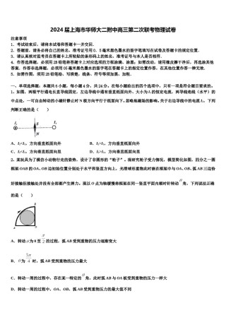 2024届上海市华师大二附中高三第二次联考物理试卷含解析.doc